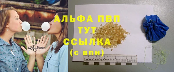 PSILOCYBIN Баксан