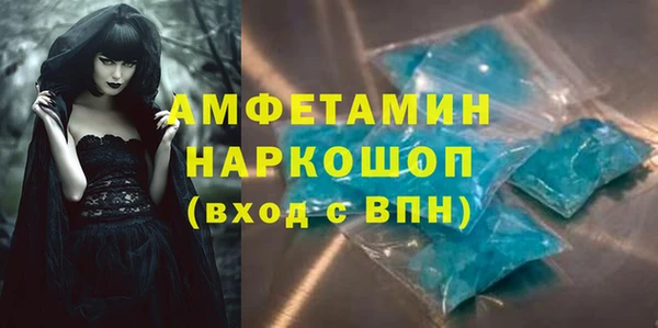 сатива Балахна