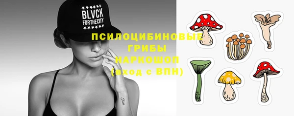 шишки Балабаново