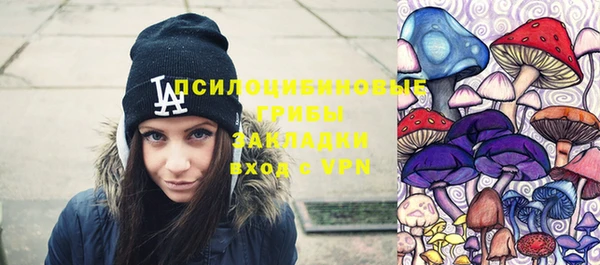 сатива Балахна