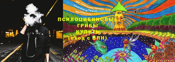 шишки Балабаново