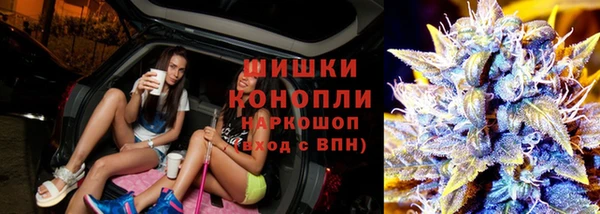 сатива Балахна