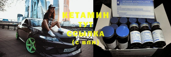 сатива Балахна